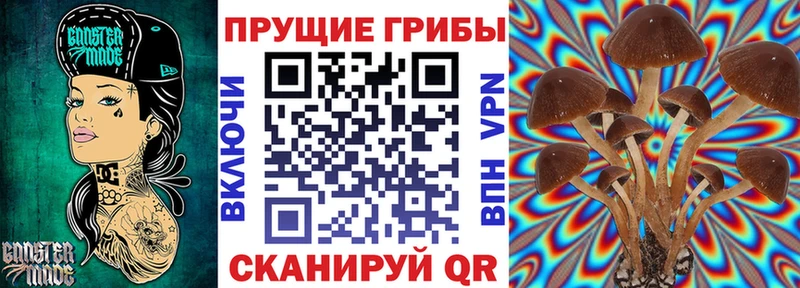 Галлюциногенные грибы Psilocybine cubensis  Саки 